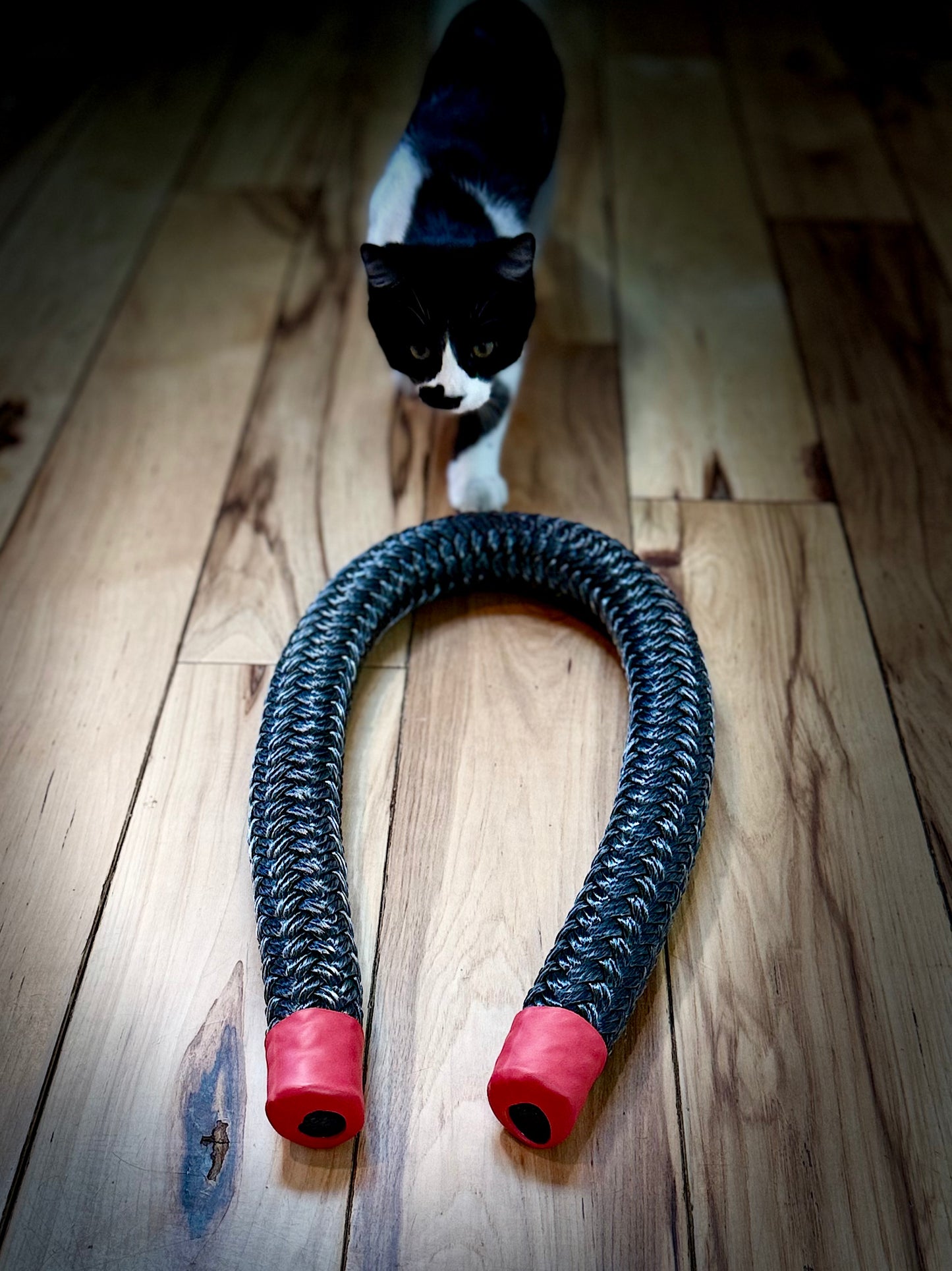 Foot Fixer (Mini Mamba 3ft Footwork Rope)