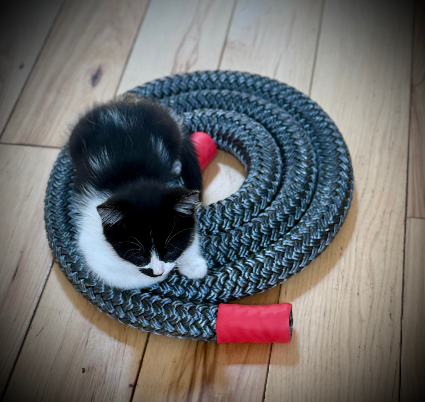 Black Mamba Rope (1.5” Thick, Very Heavy)